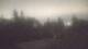 Medina, Washington 04.08.2026 01:16