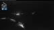 Flattach 09.07.2025 01:01