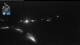 Flattach 01.05.2025 01:02