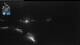 Flattach 09.06.2025 01:01