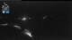Flattach 05.07.2025 01:01