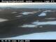 Steingrímsfjarðarheiði 09.06.2025 01:13