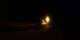 Argelès-sur-Mer 26.03.2025 01:03