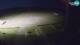 Portoroz 09.06.2025 01:03