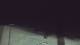 Rewal 02.07.2025 01:03