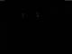 Lauenburg/Elbe 02.07.2025 01:47