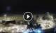 Playa de las Americas (Teneriffa) 04.07.2025 01:03