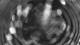 Gartow 09.06.2025 01:04