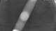 Gartow 30.04.2025 01:05