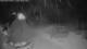 Paje Beach (Sansibar) 01.05.2025 01:05