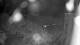 Millersburg, Pennsylvania 15.06.2025 01:22