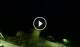 Alba Adriatica 30.04.2025 01:06