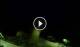 Alba Adriatica 30.04.2025 01:06