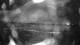 Outer Island, Connecticut 14.06.2025 01:23