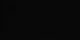Melchsee-Frutt 15.06.2025 01:54