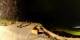 Verbier 21.06.2025 01:56