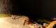Verbier 30.04.2025 01:56