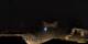 Aragnouet 15.06.2025 01:06