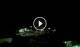 Granitsa 03.07.2025 01:08