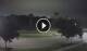 Reunion, Florida 03.07.2025 01:10