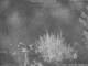 Benillup 08.07.2025 01:10