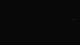 Saint-Philibert 01.05.2025 01:11
