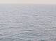 AIDAbella 14.07.2025 01:22