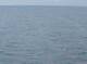 AIDAbella 04.07.2025 01:11