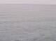 AIDAbella 24.06.2025 01:11