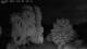 Mandelsloh 10.07.2025 01:12