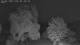 Mandelsloh 09.06.2025 01:12