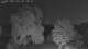 Mandelsloh 12.06.2025 01:12