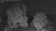 Mandelsloh 15.06.2025 01:12