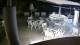 Bellaria-Igea Marina 09.06.2025 01:48