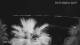 Split 09.07.2025 01:12