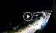 Santa Cesarea Terme 01.05.2025 01:13