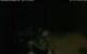 Walton 15.06.2025 01:08