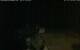 Walton 11.07.2025 01:08