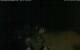 Walton 09.06.2025 01:08