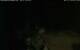 Walton 15.07.2025 01:08