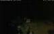 Walton 06.07.2025 01:08