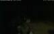 Walton 08.07.2025 01:08