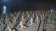 Castiglione della Pescaia 10.07.2025 01:13
