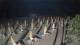 Castiglione della Pescaia 19.03.2025 01:14