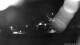 Bad Schandau 01.05.2025 01:48