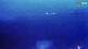 Kolan (Pag) 30.04.2025 01:15