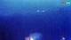 Kolan (Pag) 11.07.2025 01:14