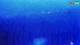 Kolan (Pag) 15.06.2025 01:14