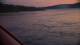 Saltstraumen 03.06.2025 01:12