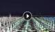 Gatteo a Mare 11.07.2025 01:16